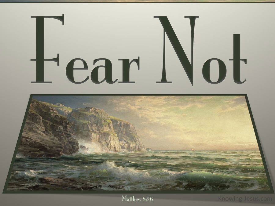 Matthew 8:26 Fear Not (sage)
